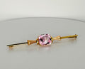 Pin with pink roses de France